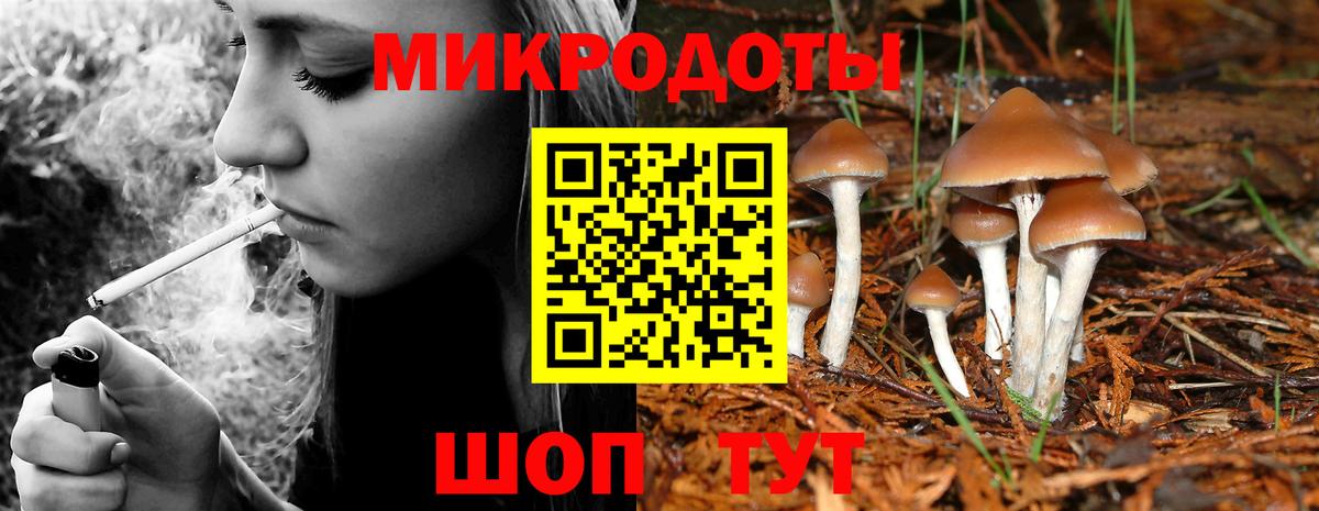 купить наркоту  Псилоцибиновые грибы мицелий  Вход с VPN  Галлюциногенные грибы GOLDEN TEACHER  Гудермес 