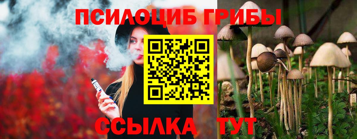 Псилоцибиновые грибы GOLDEN TEACHER Гудермес